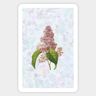 Delicate Lilac Sticker